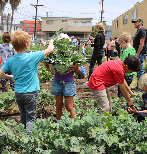 Commitment to community 